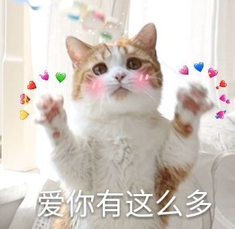 比心系列